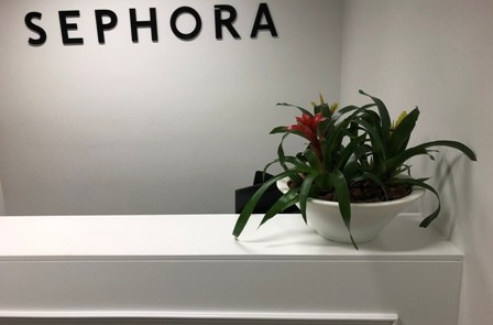 Office hire plants for reception