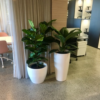 Office hire plants
