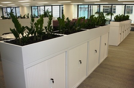Office hire plants in tambour cabinet