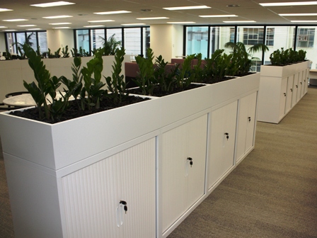 ZZ plants in office cabinets Office hire plants in tambour cabinet